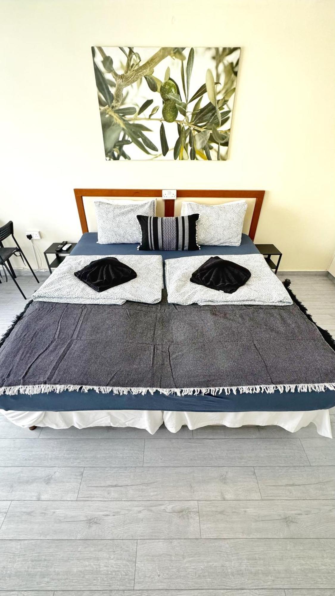 Chloraka Bay Studio Экстерьер фото